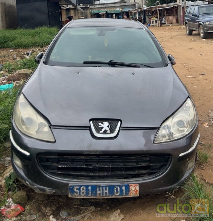 Peugeot 407