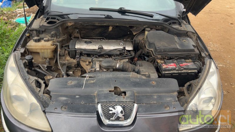 Photo 4 AUTO.CI : Peugeot 407 2010