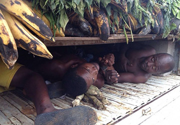 Gabon: Immigration clandestine, ils voyageaient cachés sous les régimes de banane